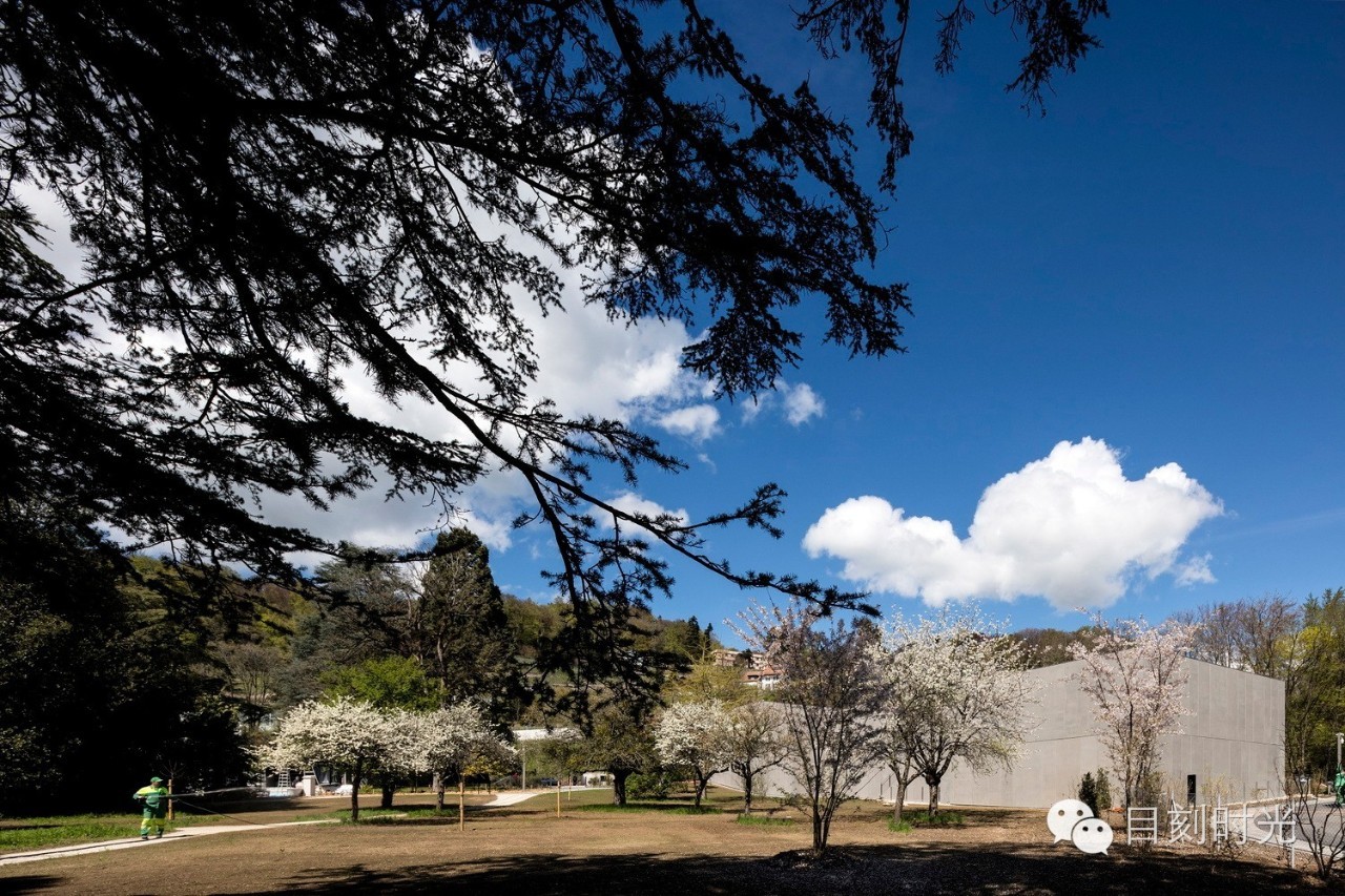 卓别林世界喜剧之王,卓别林的世界