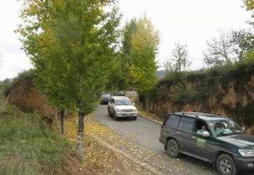 为什么一大波东莞人赶着去买车?