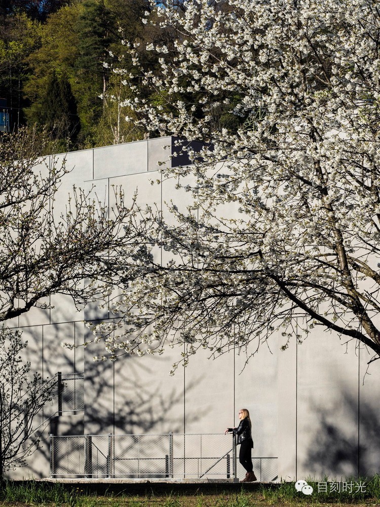 卓别林世界喜剧之王,卓别林的世界