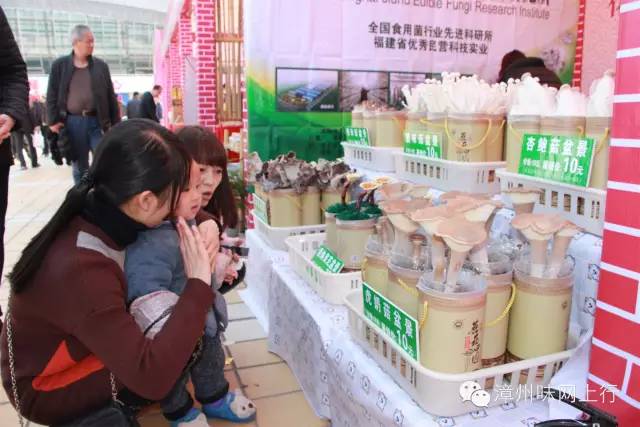 近万种名品来斗阵~一站式购物过大年!