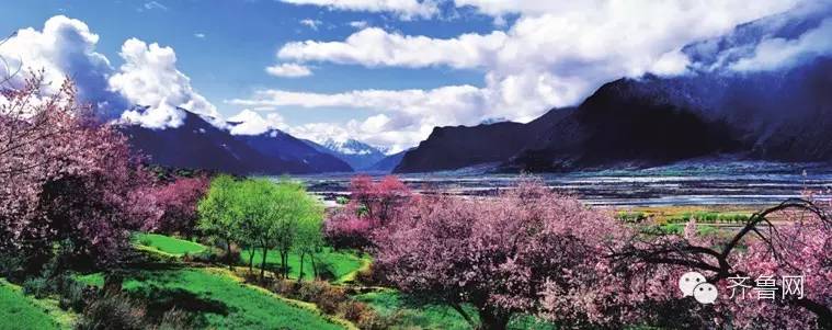 去西藏林芝旅行,去西藏林芝有什么风景