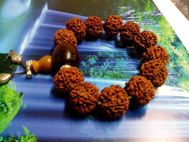 菩提手串怎么穿绳,金佛草菩提手串穿几颗