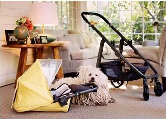 uppababy婴儿车什么水平,婴儿车uppababy平替