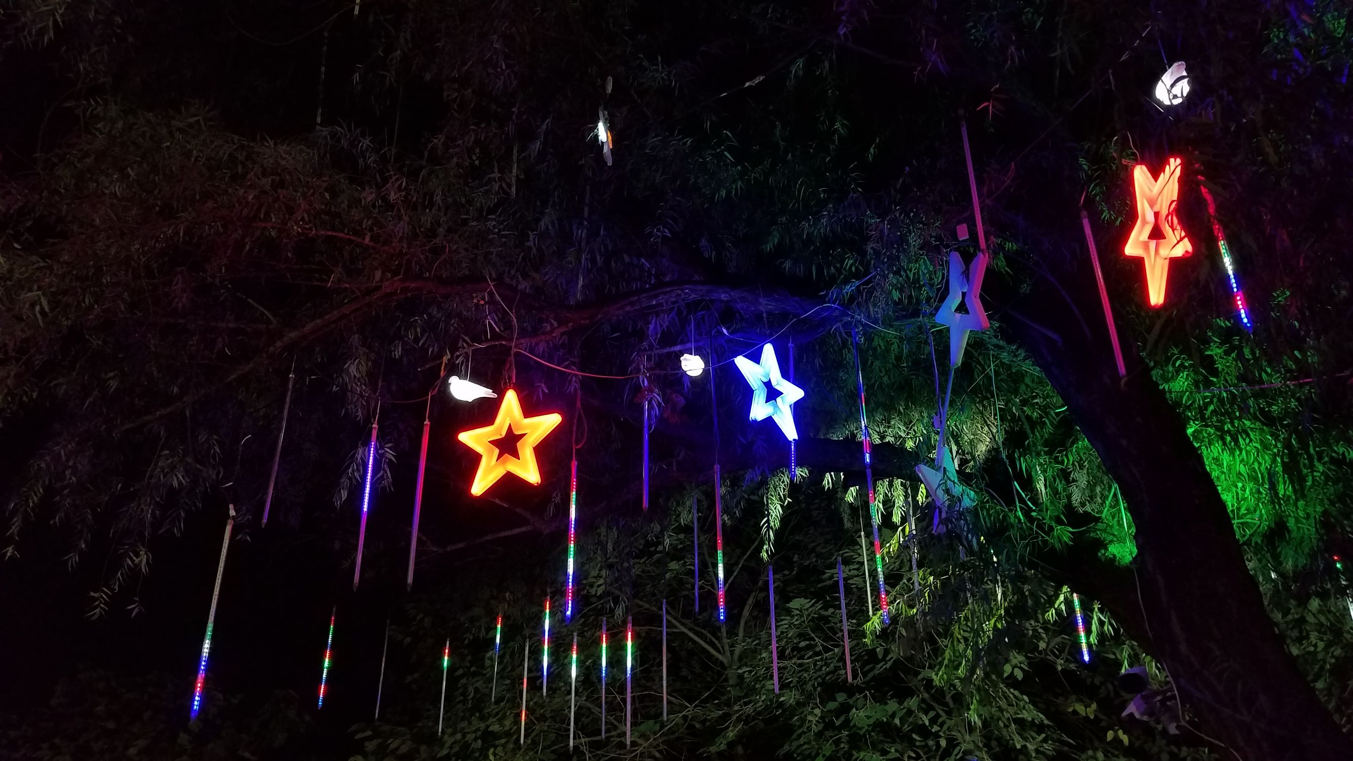 酷派乐视cool1,酷派cool1与cool1dual有什么区别