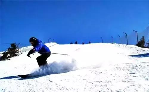 洛阳涧西区好玩的景点,洛阳35个免费景点