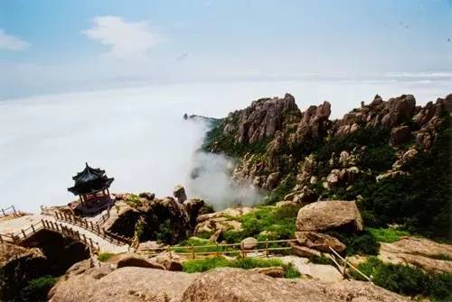 烟台青岛哪个更适合居住,青岛威海烟台哪个最适合居住