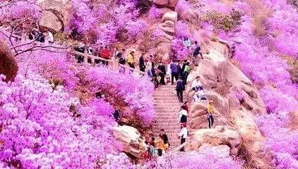 烟台青岛哪个更适合居住,青岛威海烟台哪个最适合居住