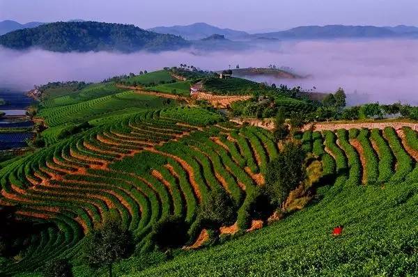 从郑州坐飞机去云南,从郑州坐火车去昆明多少钱