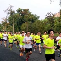 2022年温网新闻,温网新闻2017