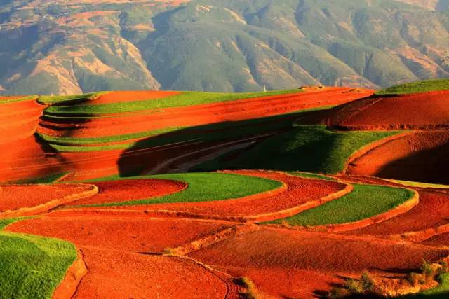 从郑州坐飞机去云南,从郑州坐火车去昆明多少钱