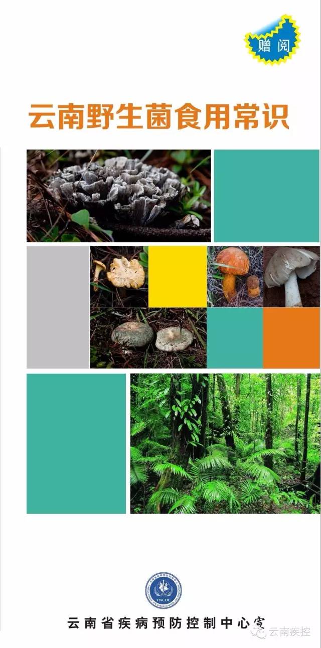 食用野生菌科普知识,菌类常识