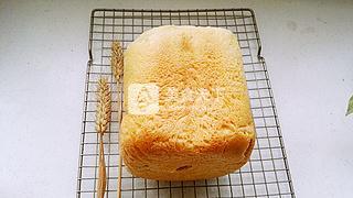 东菱无糖面包机试用,东菱面包机无油无糖全麦面包教程