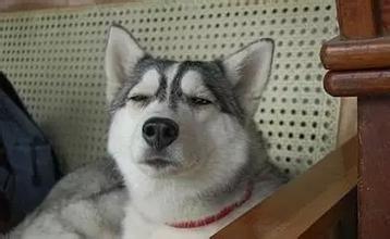 2022年温网新闻,温网新闻2017