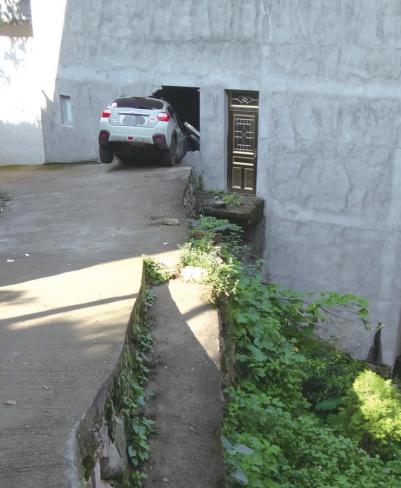 2022年温网新闻,温网新闻2017