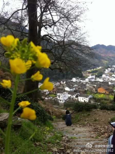 稻草人旅行有什么特色,稻草人旅行沙漠
