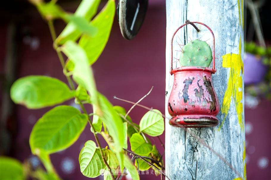 天涯到底在何处,极远的地方才叫天涯