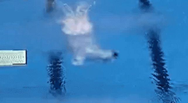 今天晚上我们坐等，这些世界纪录在巴西被打破！（内附赛程）