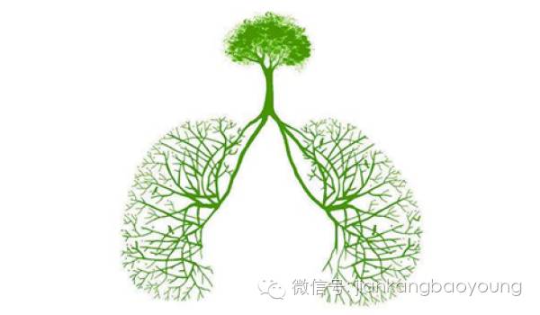 王辰院士对医生的要求,王辰院士看门诊