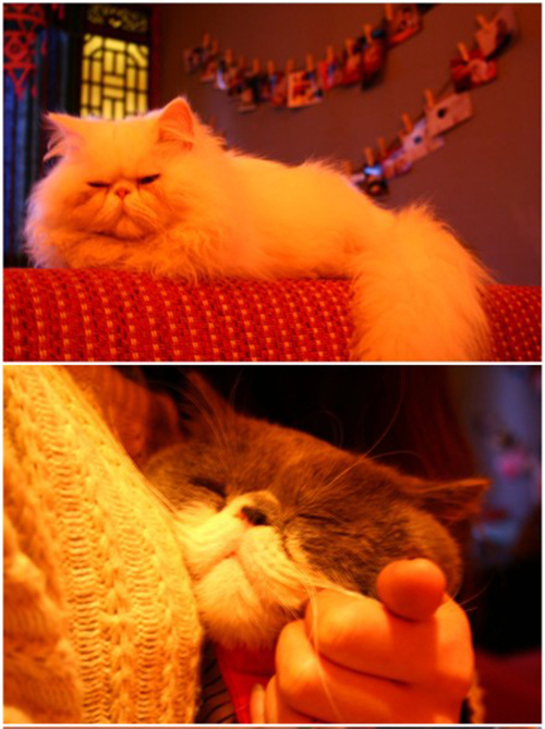 重庆文艺范的地方 (重庆文艺青年比较多的地方)