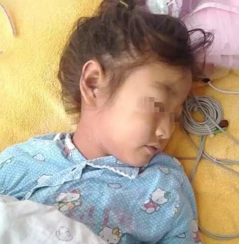 食用野生菌科普知识,菌类常识