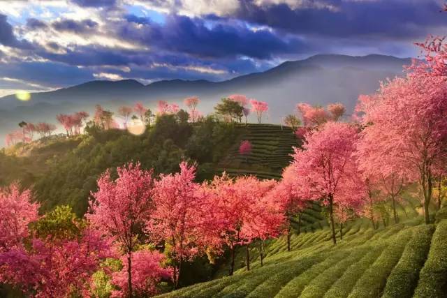 从郑州坐飞机去云南,从郑州坐火车去昆明多少钱