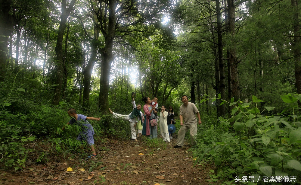 苍山西坡莲花峰,大理苍山秘境在哪里