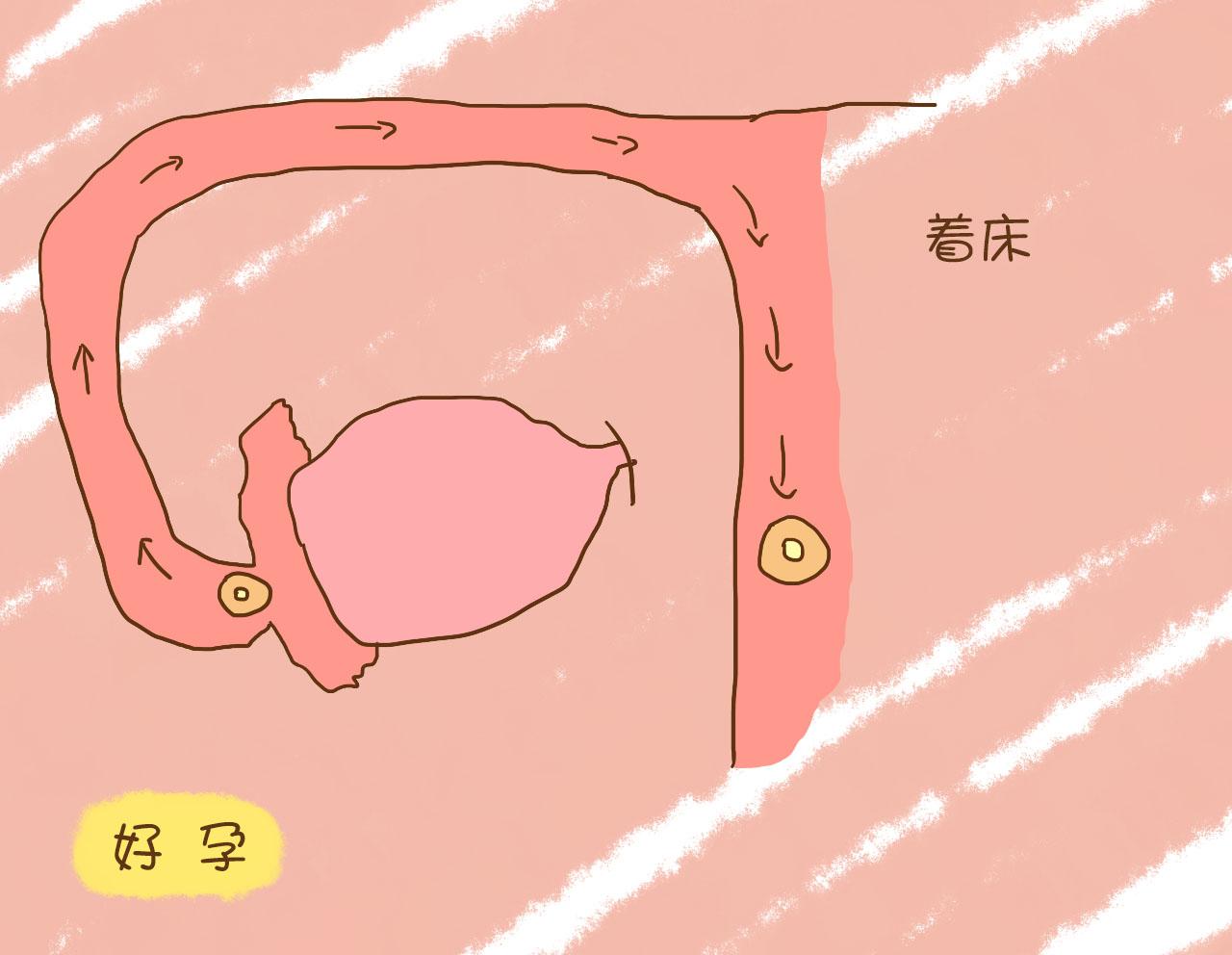 同房后多久才能确认怀孕?这才是最佳确认时间点