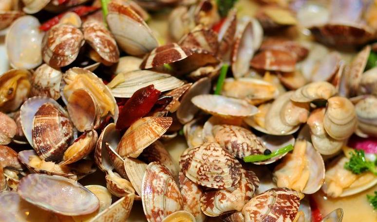 青岛刚刚火爆的小吃,青岛美食店推荐