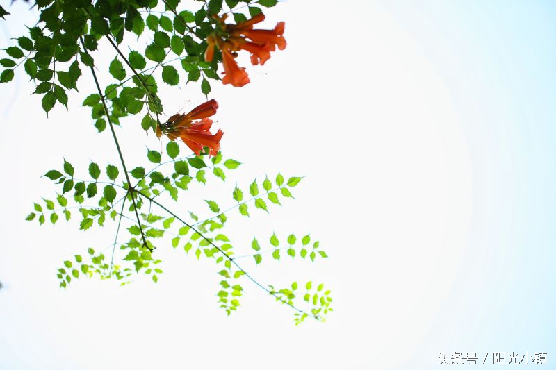 深度解析女人心里她需要什么,怎么才懂女人了解女人