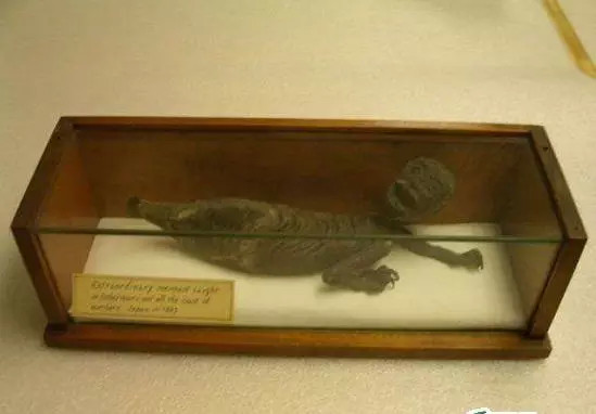 盗墓笔记最详细的豆瓣评论,盗墓笔记书名评分