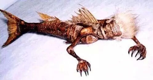 盗墓笔记最详细的豆瓣评论,盗墓笔记书名评分