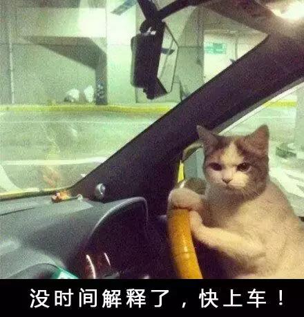 怎样才能买鞋又便宜又好看,你想要的鞋子有哪些