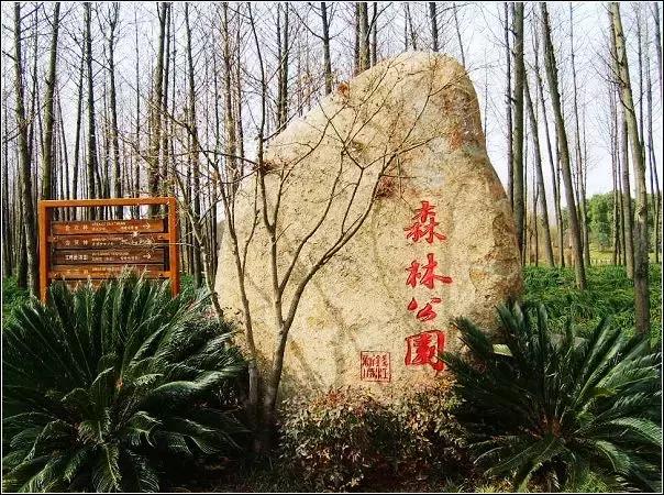 如果有人问你钱江新城到底哪里好，请把这篇甩给TA！