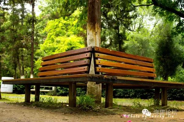 又到七夕这日，我们牵手，遇见南昌可好？