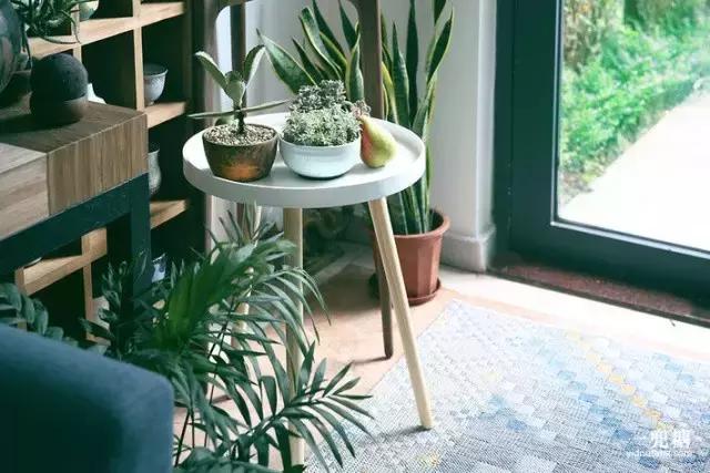 不靠谱夫妇,不靠谱夫妇小说