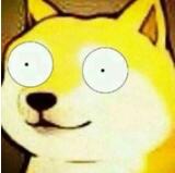 2023年美国医生薪酬工资收入,美国2022年医生年薪一览表