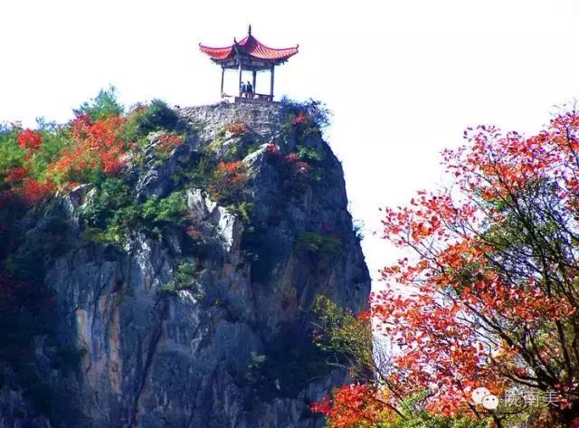 甘肃省第一美人是谁,陇南美女甘肃