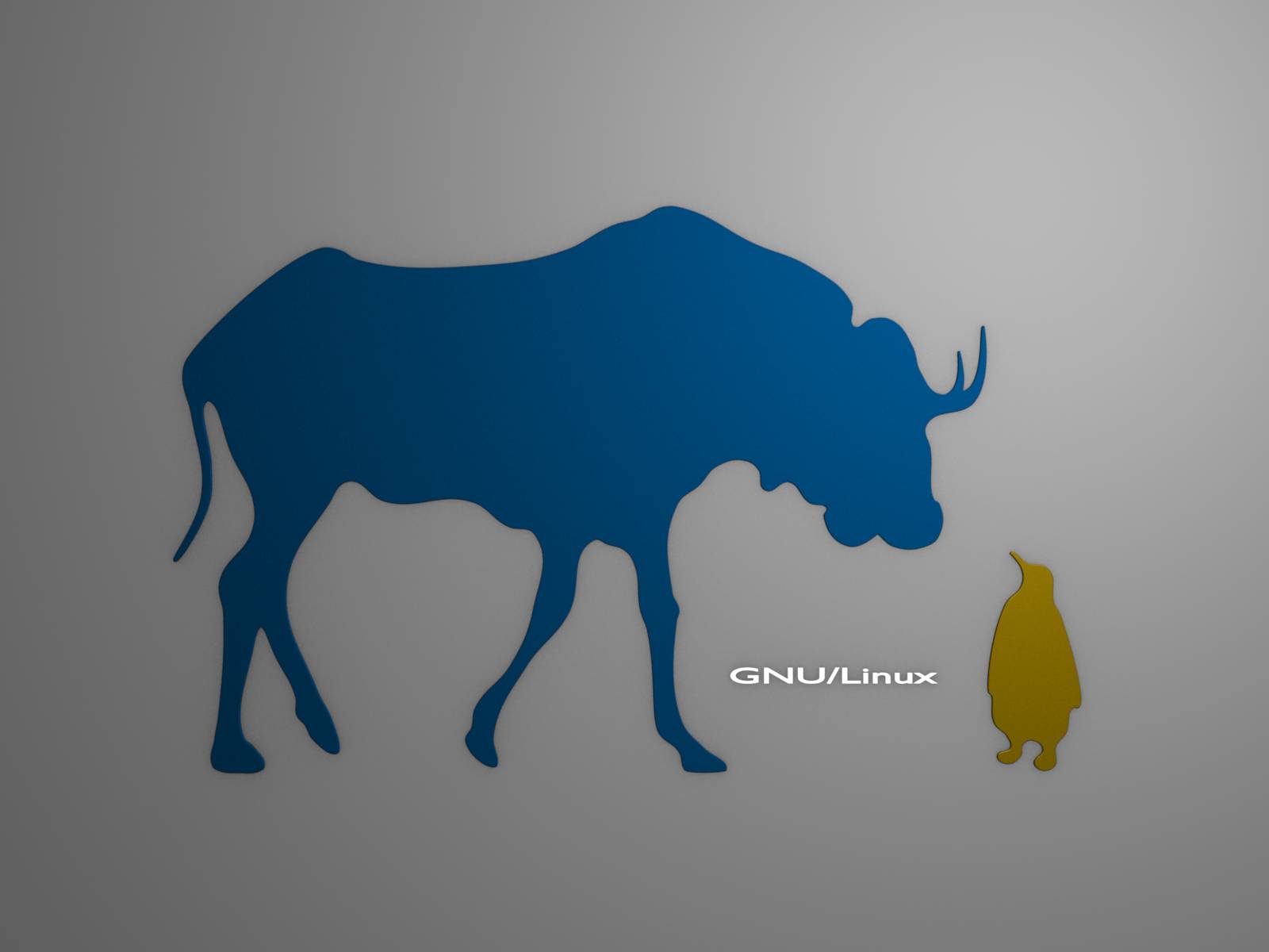 痛斥乔布斯,炮轰盖茨,自由软件之父最爱用中国上网本