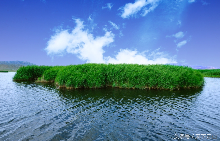 人间仙境可可托海纪行（文/冯忠文）