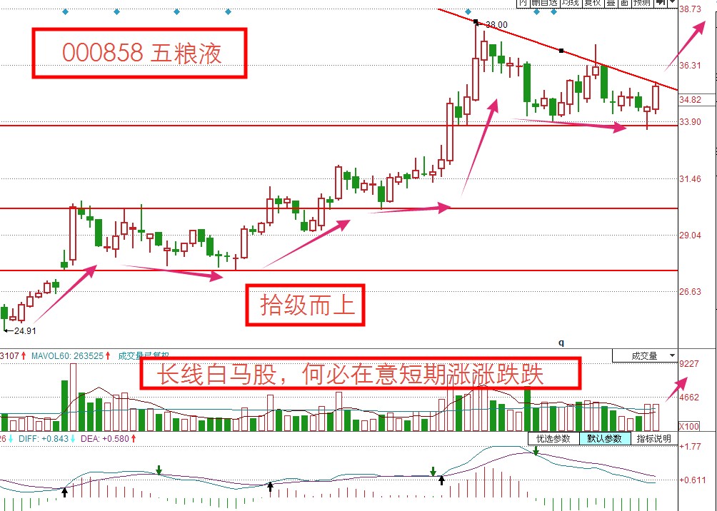 8月黑马股,下周操作策略及重点潜力个股分析