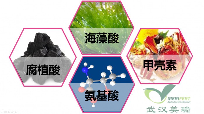 腐植酸海藻酸氨基酸甲壳素区别,海藻酸腐殖酸