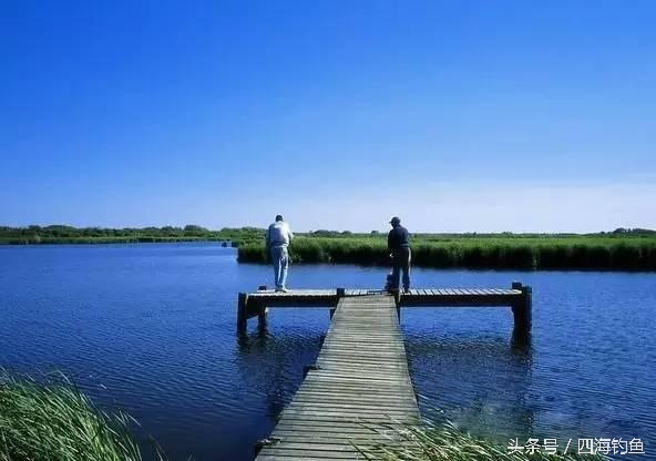 专治野钓不上钩的饵料,野钓鱼不吃钩