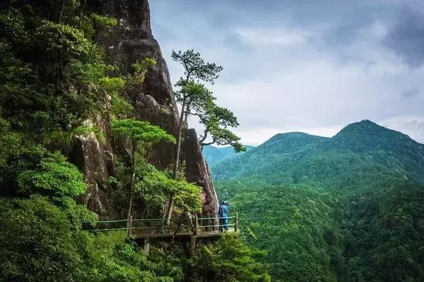 浙江龙泉顶级宝剑,龙泉剑唐代刀剑文化的精髓