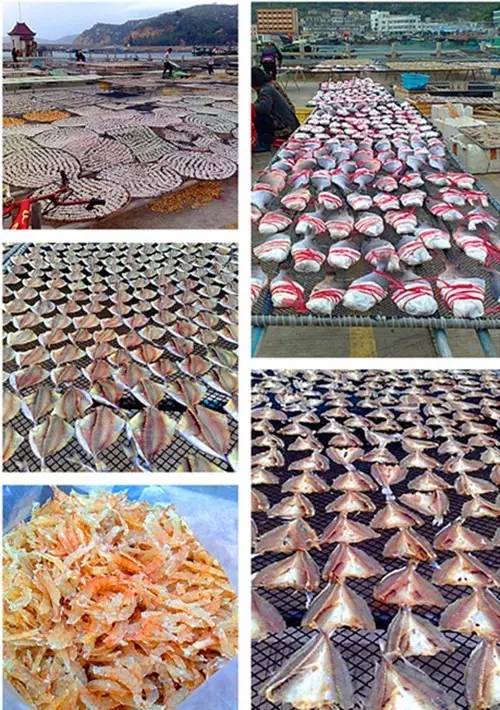 万山岛免费钓点,万山岛岸边钓点