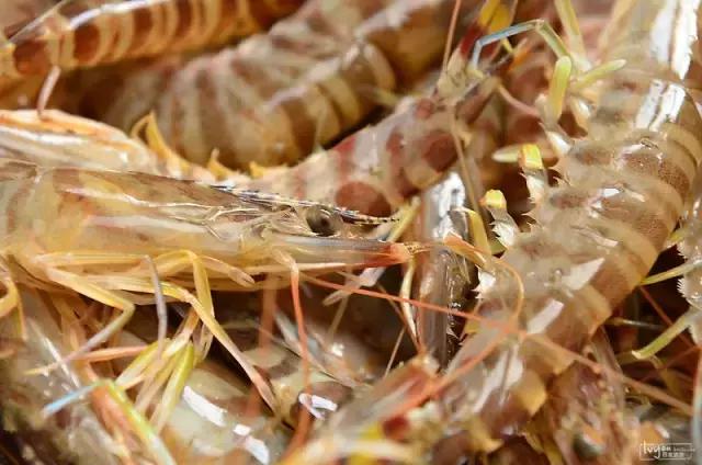 东戴河看海攻略,东戴河旅游攻略从哪个站下车