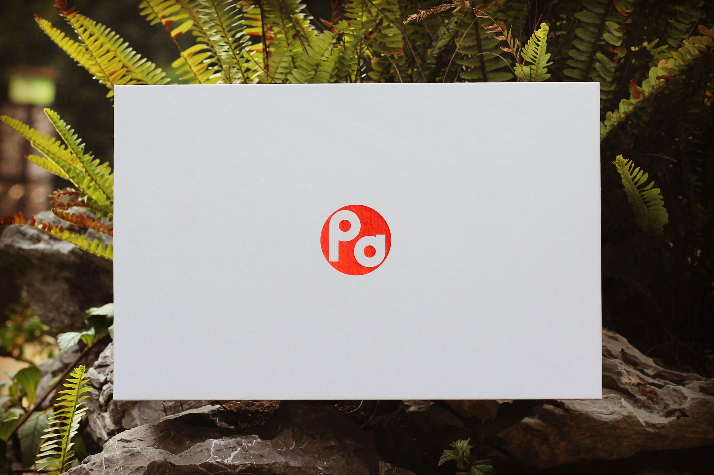 PaPa旅行影院一路随行，轻轻松松看“视界”