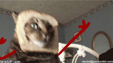 再有人喊热到爆，你就把这篇文章甩给TA！