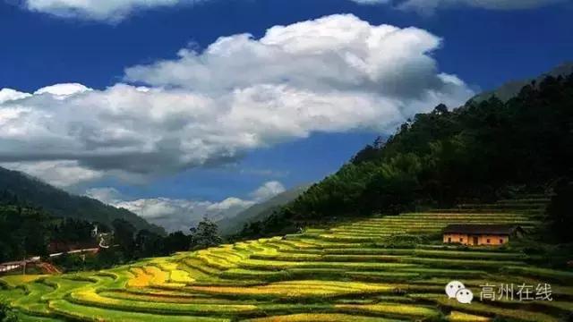 高州一天一夜游哪里好玩,高州最值得去的地方