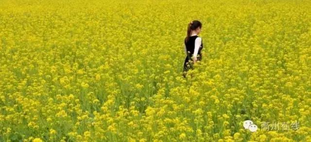 高州一天一夜游哪里好玩,高州最值得去的地方