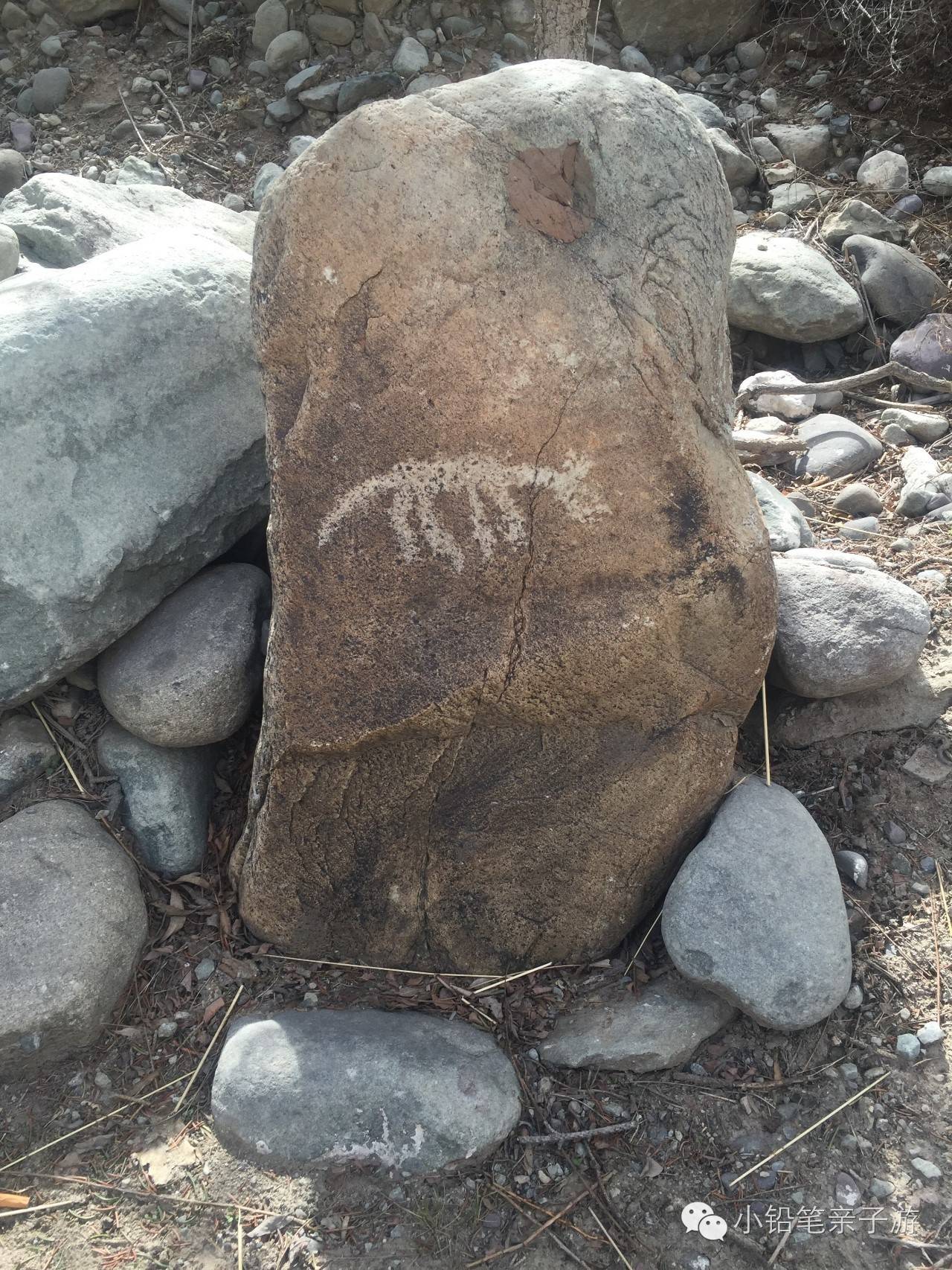 爸爸去哪儿宁夏沙坡头片段,爸爸去哪儿宁夏沙坡头